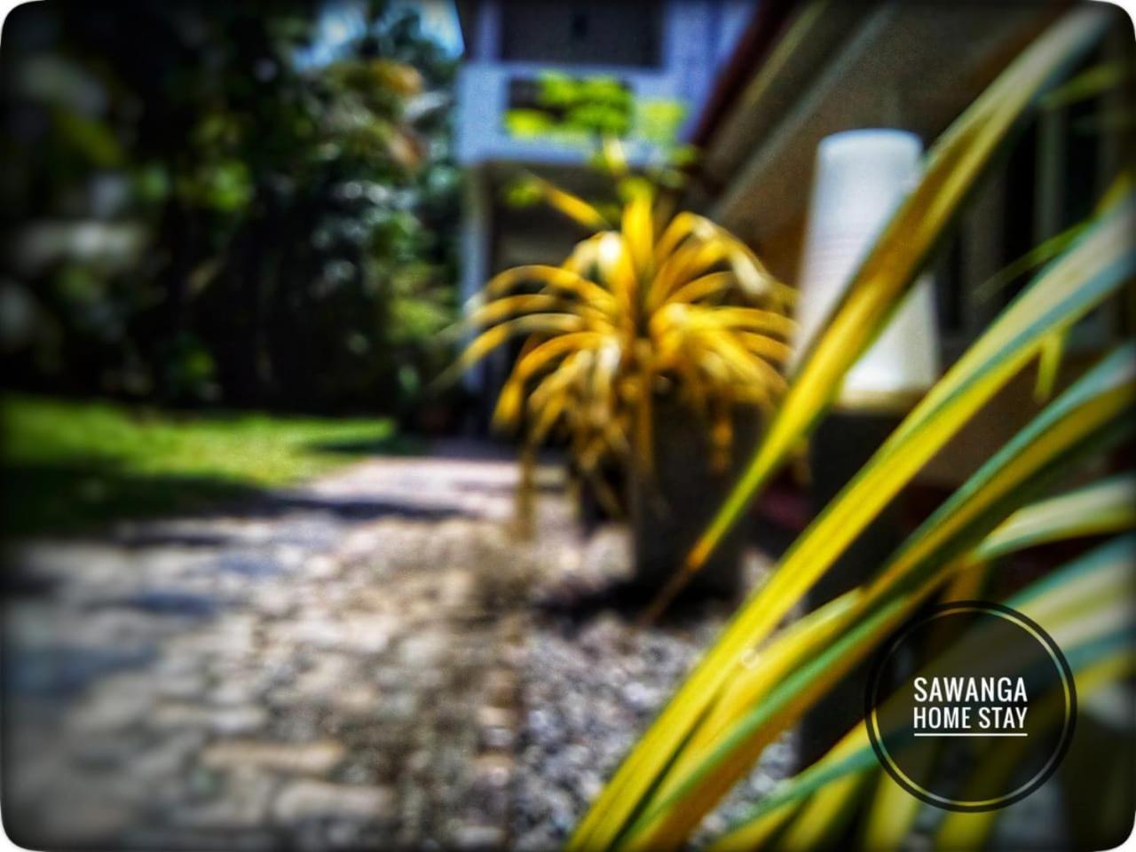 Sawanga Home Stay 웰리가마 외부 사진